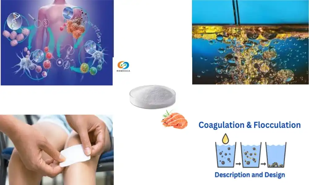 Top Industrial Applications of Chitosan Powder